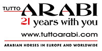 Tutto Arabi Magazine